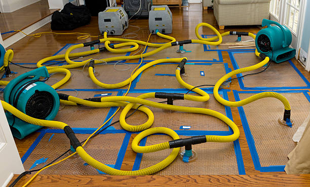 Professional Basement Flood Cleanup technician working in Donora, PA